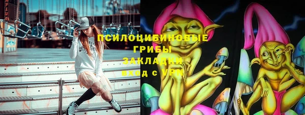 PSILOCYBIN Балахна