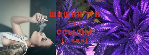 PSILOCYBIN Балахна