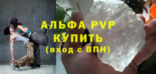 PSILOCYBIN Балахна