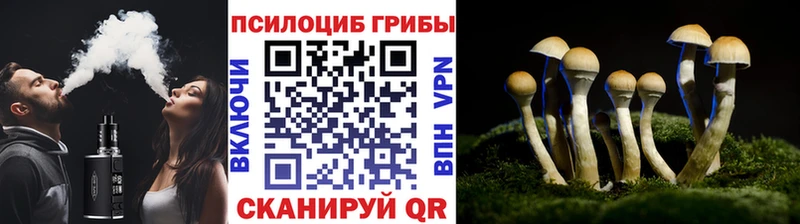 наркота Лесозаводск это клад Псилоцибиновые грибы MAGIC MUSHROOMS